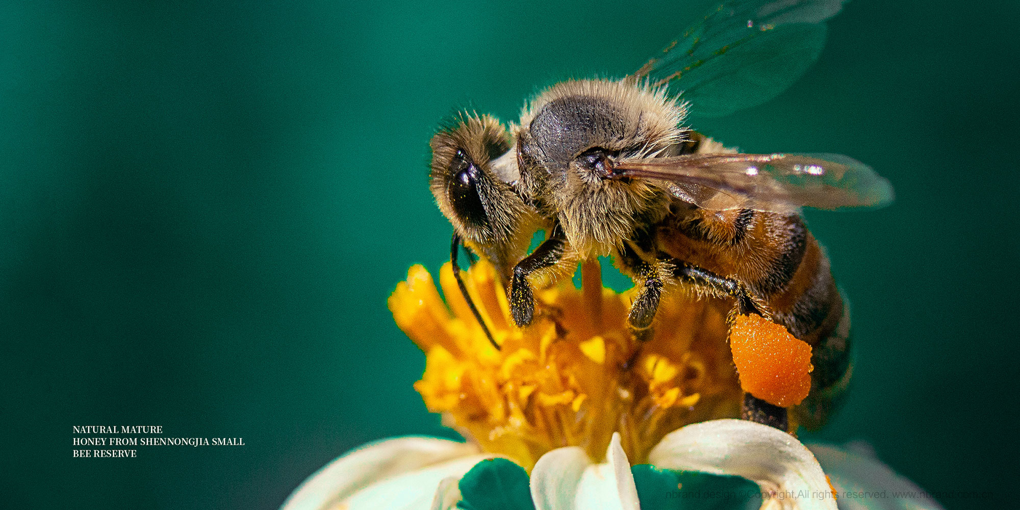 �샞(y��u)������������ʳƷ���b�OӋ,�Y���OӋ,�߶�Ʒ���OӋ