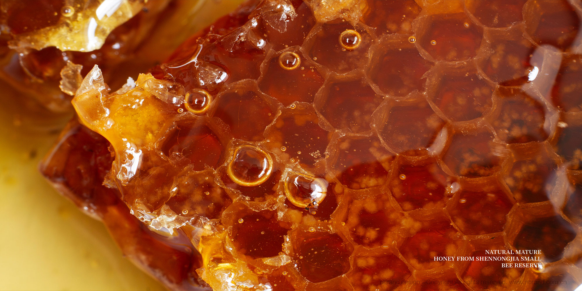 �샞(y��u)������������ʳƷ���b�OӋ,�Y���OӋ,�߶�Ʒ���OӋ